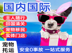 潍坊航空物流国际宠物托运 【国
